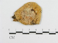 登錄號:F0012307藏品圖，第1張