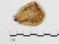 登錄號:F0012307藏品圖，第3張