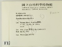 登錄號:F0012310藏品圖，第2張