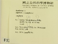登錄號:F0012311藏品圖，第2張