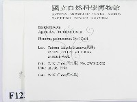登錄號:F0012314藏品圖，第2張