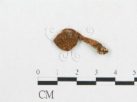 登錄號:F0012316藏品圖，第1張