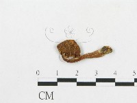 登錄號:F0012316藏品圖，第3張
