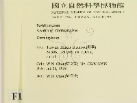 登錄號:F0012317藏品圖，第2張