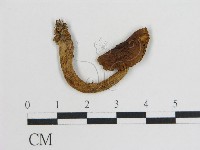登錄號:F0012317藏品圖，第1張