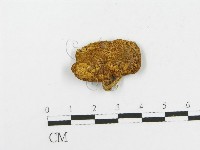 登錄號:F0012318藏品圖，第3張