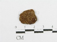登錄號:F0012319藏品圖，第1張