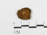 登錄號:F0012319藏品圖，第3張