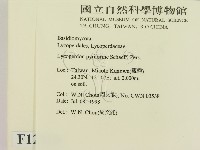 登錄號:F0012320藏品圖，第2張