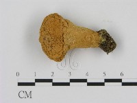 登錄號:F0012320藏品圖，第1張