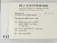 登錄號:F0012321藏品圖，第2張