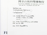 登錄號:F0012322藏品圖，第2張