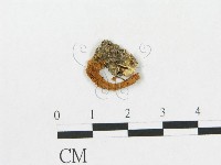 登錄號:F0012324藏品圖，第1張