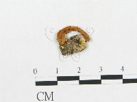 登錄號:F0012324藏品圖，第3張
