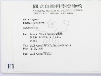 登錄號:F0012325藏品圖，第2張
