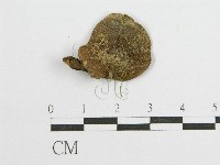 登錄號:F0012325藏品圖，第1張