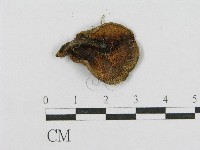 登錄號:F0012325藏品圖，第3張