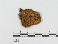 登錄號:F0012327藏品圖，第3張