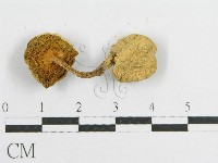 登錄號:F0012328藏品圖，第3張