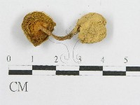 登錄號:F0012328藏品圖，第4張