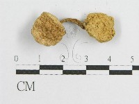 登錄號:F0012328藏品圖，第5張