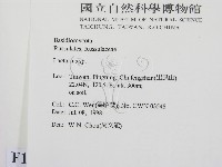 乳菇屬藏品圖，第2張