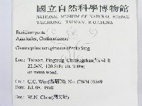 登錄號:F0012330藏品圖，第2張