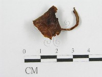 登錄號:F0012330藏品圖，第1張