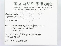 登錄號:F0012331藏品圖，第2張