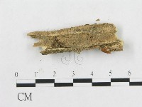 登錄號:F0012331藏品圖，第3張