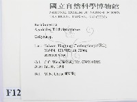 登錄號:F0012332藏品圖，第2張