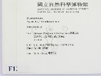 小皮傘屬藏品圖，第2張