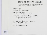 登錄號:F0012338藏品圖，第2張