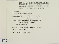 登錄號:F0012341藏品圖，第2張