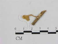 登錄號:F0012341藏品圖，第1張