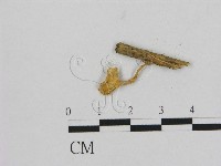 登錄號:F0012341藏品圖，第3張