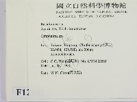 登錄號:F0012342藏品圖，第2張