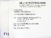 登錄號:F0012343藏品圖，第2張