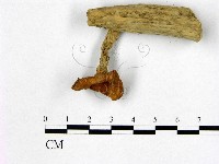 登錄號:F0012343藏品圖，第1張