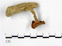 登錄號:F0012343藏品圖，第3張