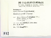 登錄號:F0012345藏品圖，第2張