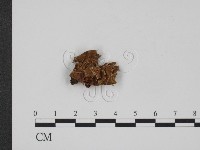 登錄號:F0012346藏品圖，第1張