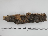 登錄號:F0012347藏品圖，第1張