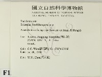 登錄號:F0012348藏品圖，第2張
