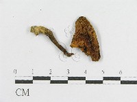 登錄號:F0012349藏品圖，第3張