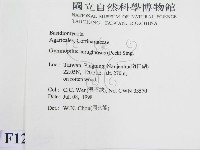 登錄號:F0012350藏品圖，第2張