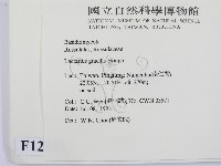 登錄號:F0012351藏品圖，第2張