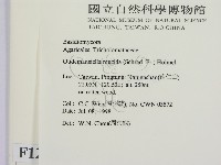 登錄號:F0012352藏品圖，第2張