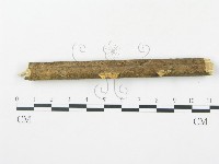 登錄號:F0012354藏品圖，第1張