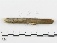 登錄號:F0012354藏品圖，第4張